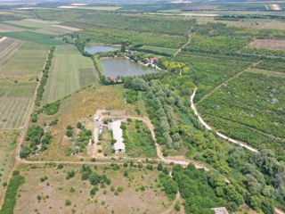 Teren 6hectare + depozit 900m2 (Proprietar) foto 7