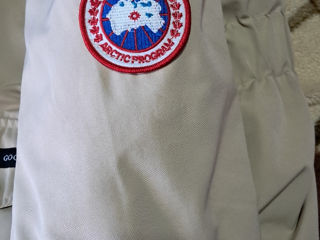 Canada goose foto 2