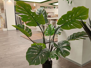 Perete din plante artificiale foto 3