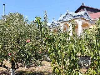 Călărași, casă gata de trai 340m2, Hotel, Hostel, teren 10 ari, strada Diaconas. foto 6