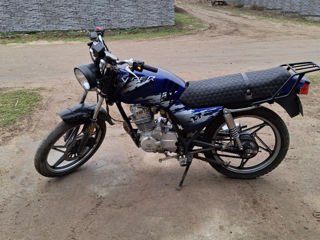 Viper 125 foto 2