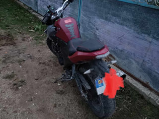 Motomax Fh250-9d3