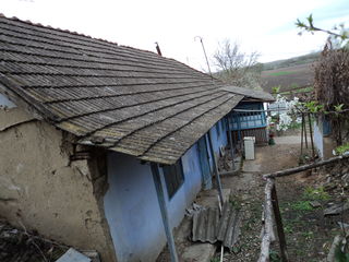 Casa la Nistru.Speia, Anenii Noi foto 6