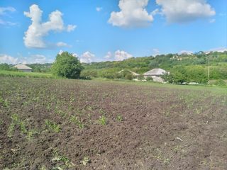 Se vinde teren 13.35 sote Peresecina cu titlu de constructie +30 cuburi de piatra tare foto 2