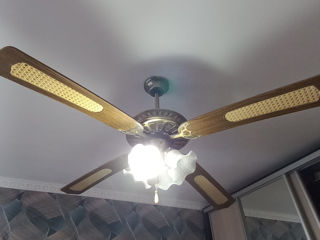 Lustra foto 0