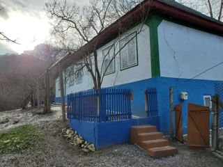 Vind casa lîngă pădure cu perspective de dezvoltare a unei pensiuni