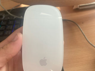 apple mouse foto 1