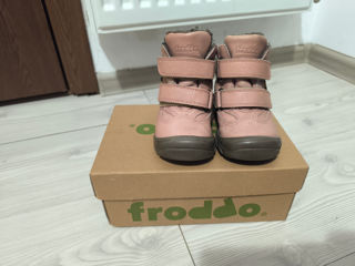 Froddo