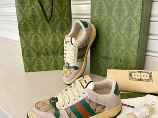 Adidași Gucci