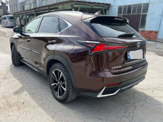 Lexus NX Series foto 5