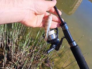 Спиннинг Gamakatsu Luxxe Yoihime Ten S511FL-Solid (1.80m 0.1-2.5 гр.) (Made in Japan) foto 14