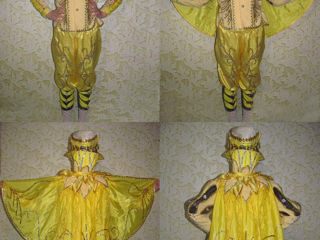 Costume de carnaval foto 9