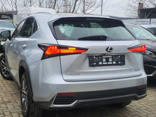 Lexus NX Series foto 14