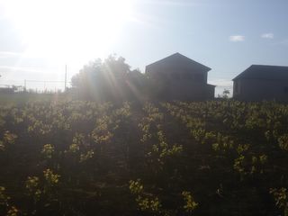 Se vinde casa cu 2 etaje in satul Bascalia, r-l Basarabeasca! foto 8