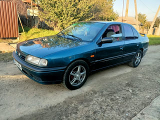 Nissan Primera foto 3