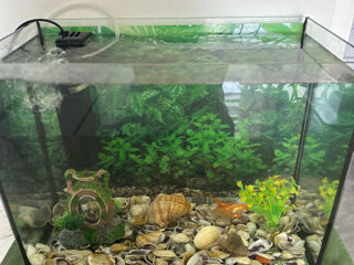 Acvarium 25L 40*20*30