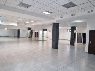 Prima linie! Show-room, fitnes, scoala sau sala de dansuri, oficiu, ș.a. 220 m2. Lunedor. foto 3