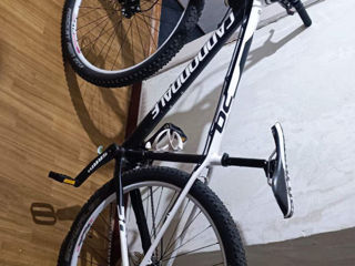 Cannondale Flash Carbon 29er custom