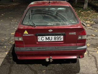 Nissan Primera foto 4