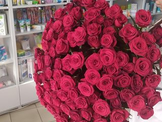 Eustoma 10 lei/crenguta. Buchete imense la preturi angro! foto 5