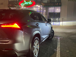 Lexus NX Series foto 6