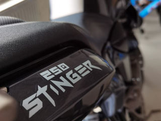 Geon Stinger 250 foto 12