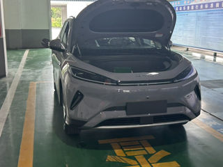 Byd Sea Lion 05 foto 1