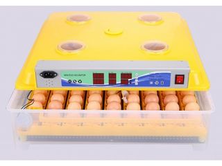 Инкубатор с автоматическим переворотом яиц MS-98/Incubator Automat la 98 oua/Livrare gratuita/3400 l foto 1