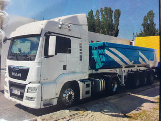 Man Tgx