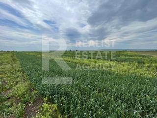 Teren agricol cu livadă și o suprafață de 260 ha în satul Cuconeștii Noi foto 17