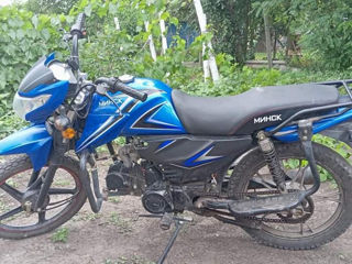 Alpha Moto Minsc