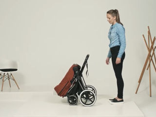 Cybex  Priam Platinum foto 3