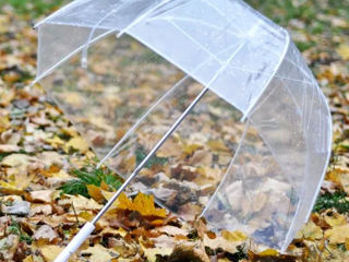 Стильный прозрачный зонт foto 9
