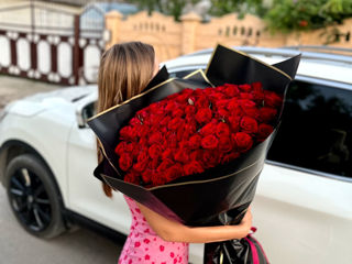 trandafiri roșii la cel mai bun preț! foto 3