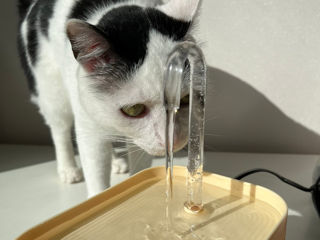 Поилки с церкуляцией воды  для животных ! foto 2