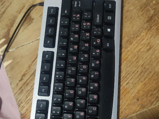 Tastaturi, mouse şi convertor