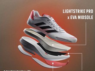 pegasus 37 ou vomero