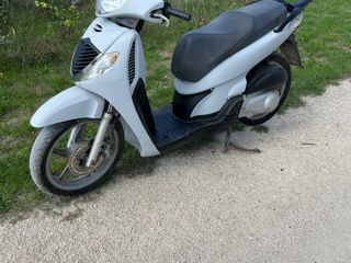 Honda Sh 150 foto 1