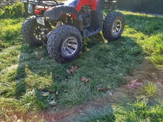 Boss ATV Hunter foto 2