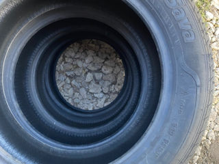 Sava 215/55 r16 m+s(iarna vara)