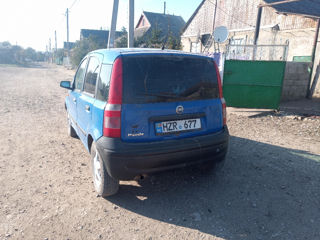 Fiat Panda foto 6