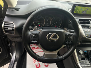 Lexus NX Series foto 15