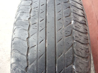 265х65х17  Dunlop  4  Ската 1300 лей foto 7