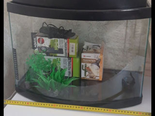 Acvarium 50 litri