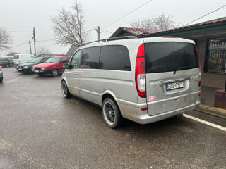 Mercedes Viano foto 6