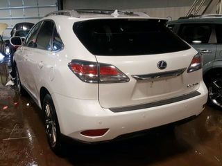 Lexus RX Series foto 10