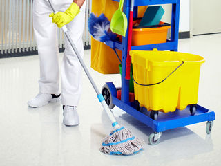 #serviciidecurățenie #spălareageamuri #curățarechimică la domiciliu #spălareafațadei