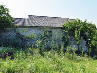 Lot pentru constructii in Codru foto 2