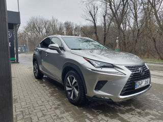 Lexus NX Series