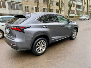 Lexus NX Series foto 4